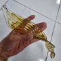 Bộ đèn chùm lá xoài xoắn gân PL025.2, gồm 260 lá xoài xoắn có gân màu trắng pha hổ phách, viền mạ vàng , không lắp COB . KT(mm): D1600 x H4000